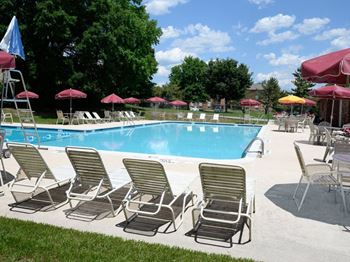 Poolside relaxing chairs